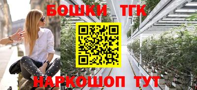 индика Волгодонск